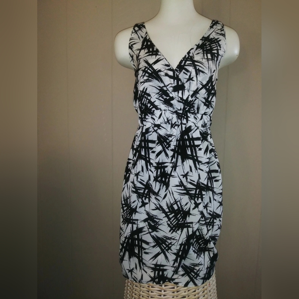 Black & White Sleeveless V-Neck Print Dress